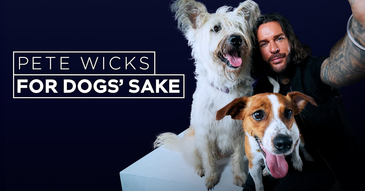 Pete Wicks: For Dogs' Sake