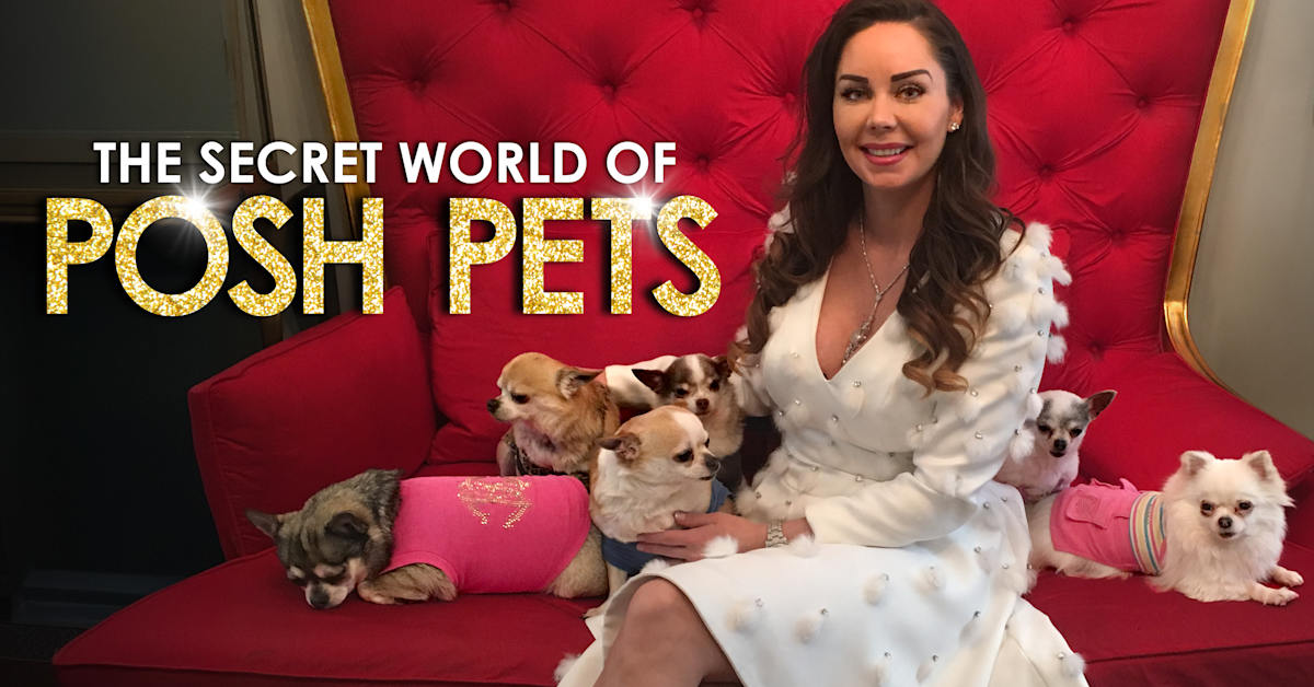 Stream The Secret World Of Posh Pets Series Episodes Watch On U Lyjyysupbaihxvbpge5t 