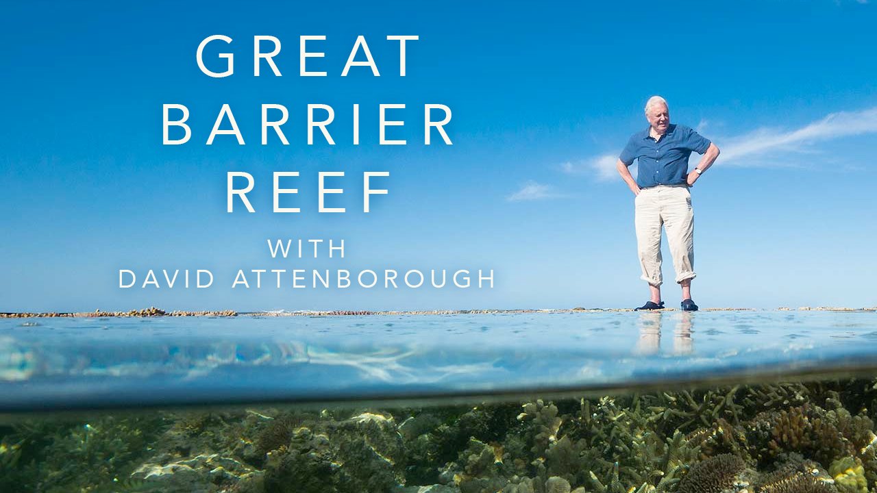 How To Watch Great Barrier Reef With David Attenborough - UKTV Play