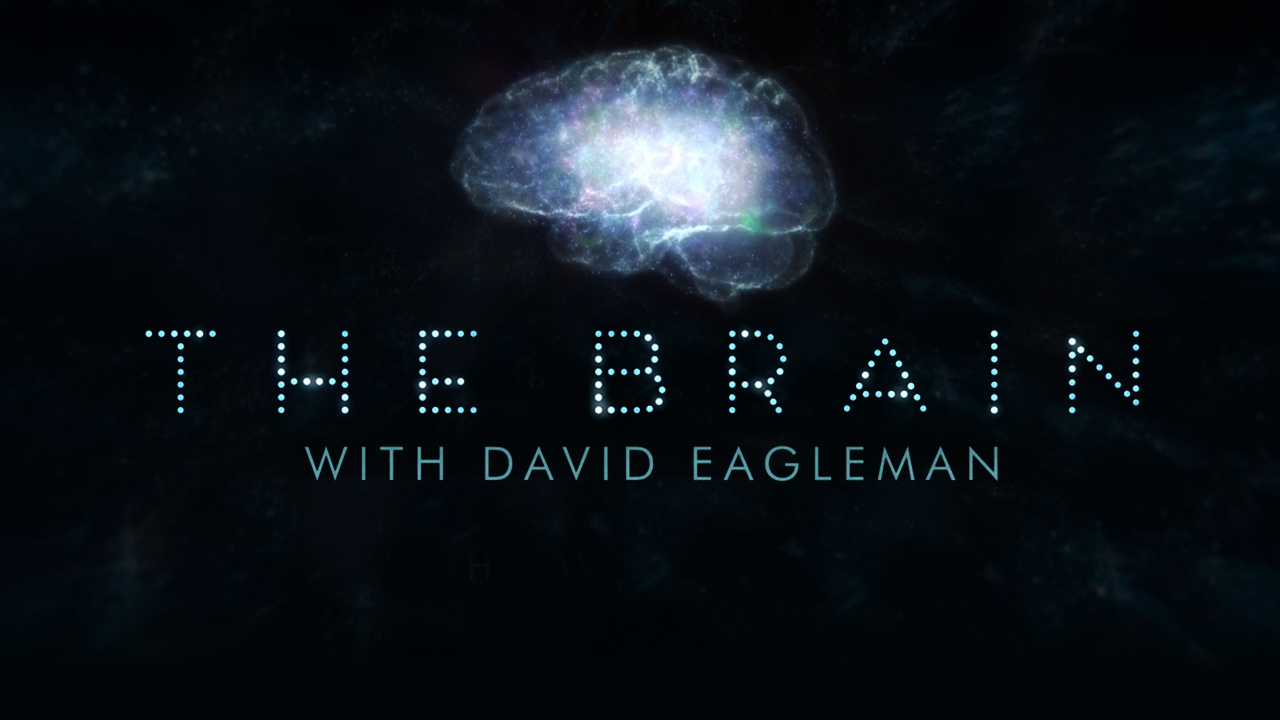 How To Watch The Brain With David Eagleman Uktv Play 4699