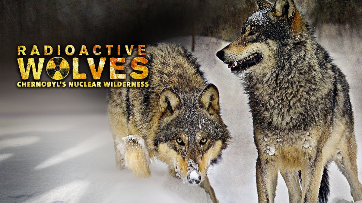 how-to-watch-radioactive-wolves-uktv-play