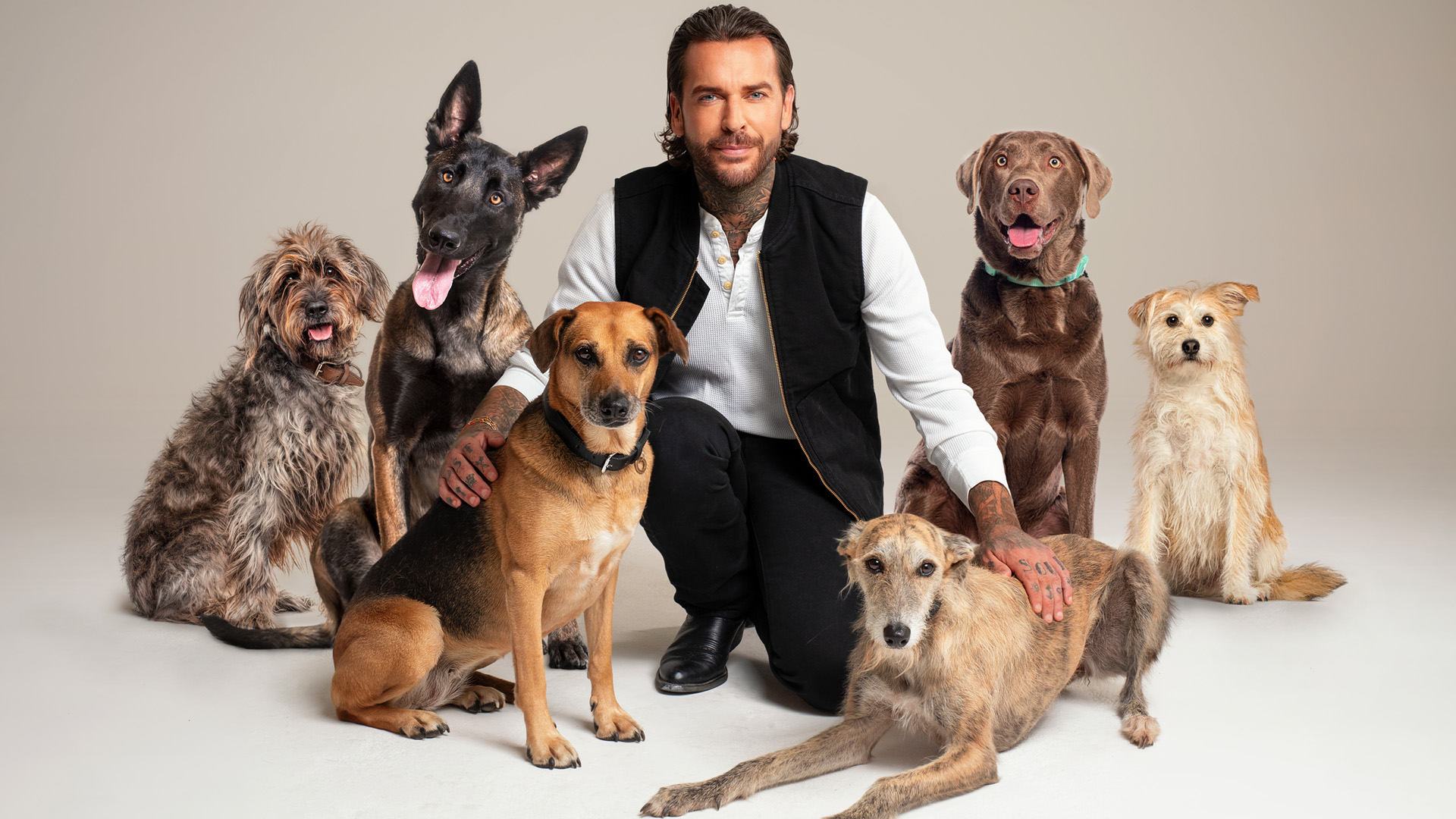 Stream Pete Wicks: For Dogs' Sake Series 1 | Watch on U