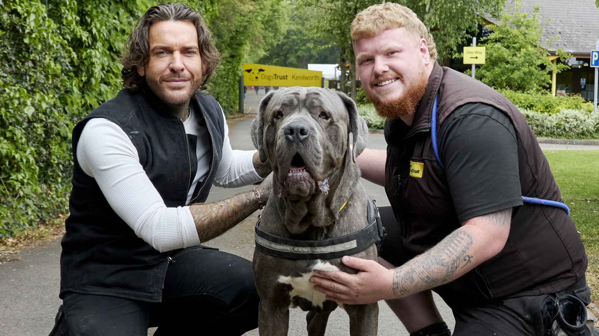 Stream Pete Wicks: For Dogs' Sake Series & Episodes | Watch on U
